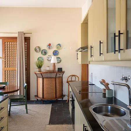 Vicentino Private Plunge Pool Tatil Evi Aljezur